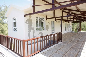 Drawing on the walls on the renovated Cloakroom